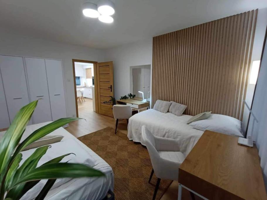 Apartament Apartament Podgorna 19 Stary Toruń Zewnętrze zdjęcie