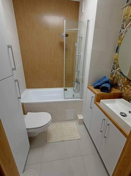 Apartament Apartament Podgorna 19 Stary Toruń Zewnętrze zdjęcie