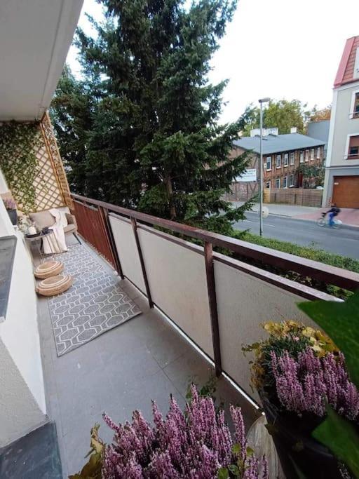 Apartament Apartament Podgorna 19 Stary Toruń Zewnętrze zdjęcie