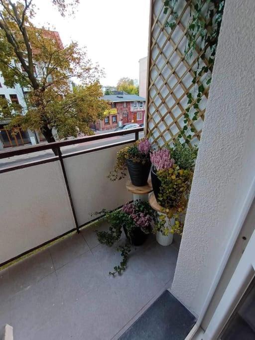 Apartament Apartament Podgorna 19 Stary Toruń Zewnętrze zdjęcie